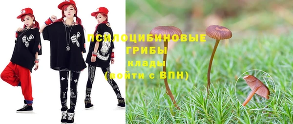 PSILOCYBIN Абдулино