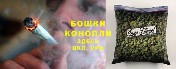 сатива Абинск