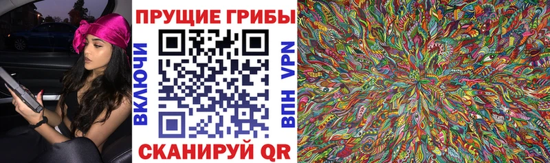 где купить   Тимашёвск  МЕГА ТОР  Галлюциногенные грибы Cubensis 